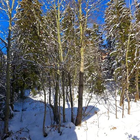 Apartmán Mandarin B 19 By Interhome Crans-Montana