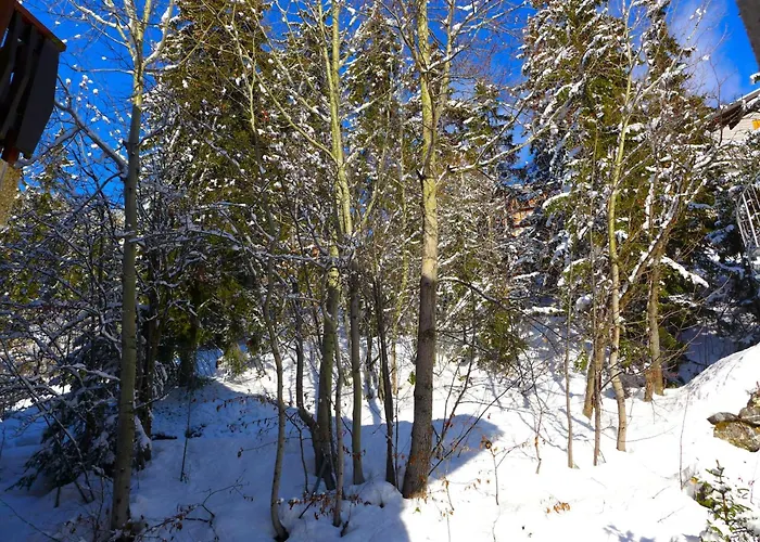 Daire Mandarin B 19 By Interhome Crans-Montana